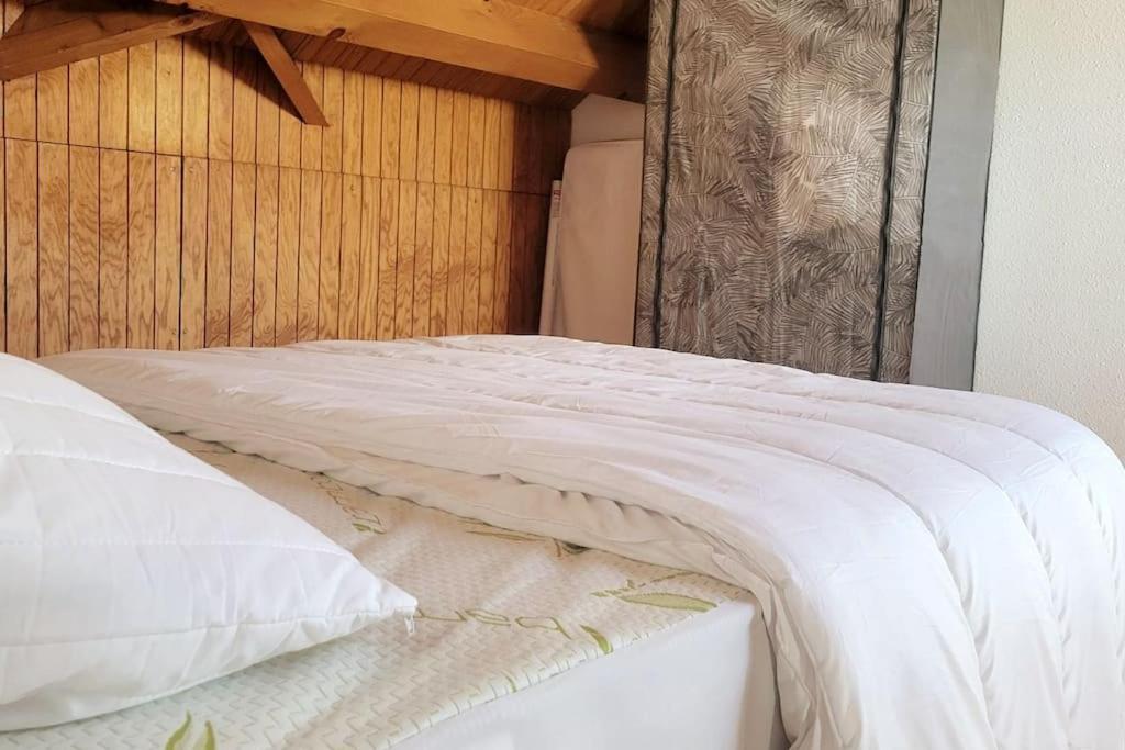 Apartmán Duplex 4/6P Le Familial Laveissière Exteriér fotografie